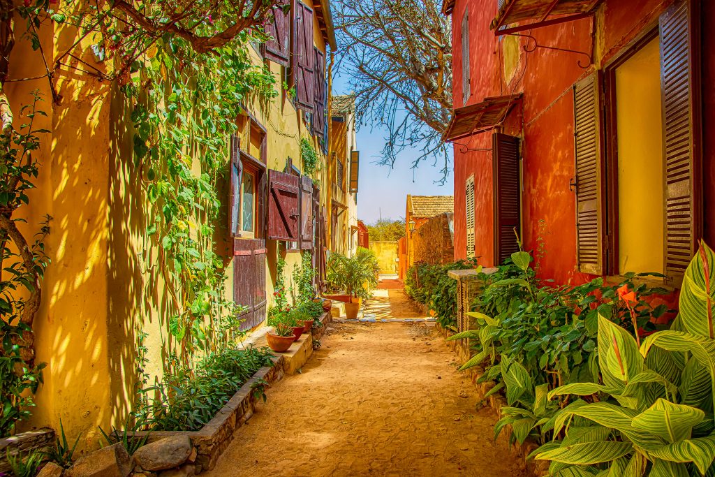 Street on Gorée island, Senegal, Africa. They are colorful stone houses overgrown with many green flowers. It is one of the earliest European settlements in Western Africa, Dakar. It looks beautiful.